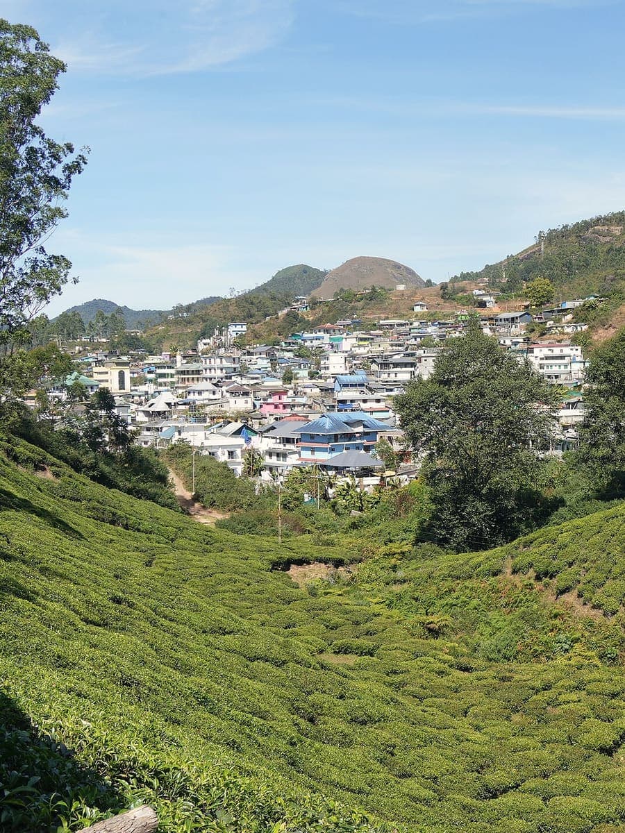 A hill town above the tea gardens of Munnar, Kerala