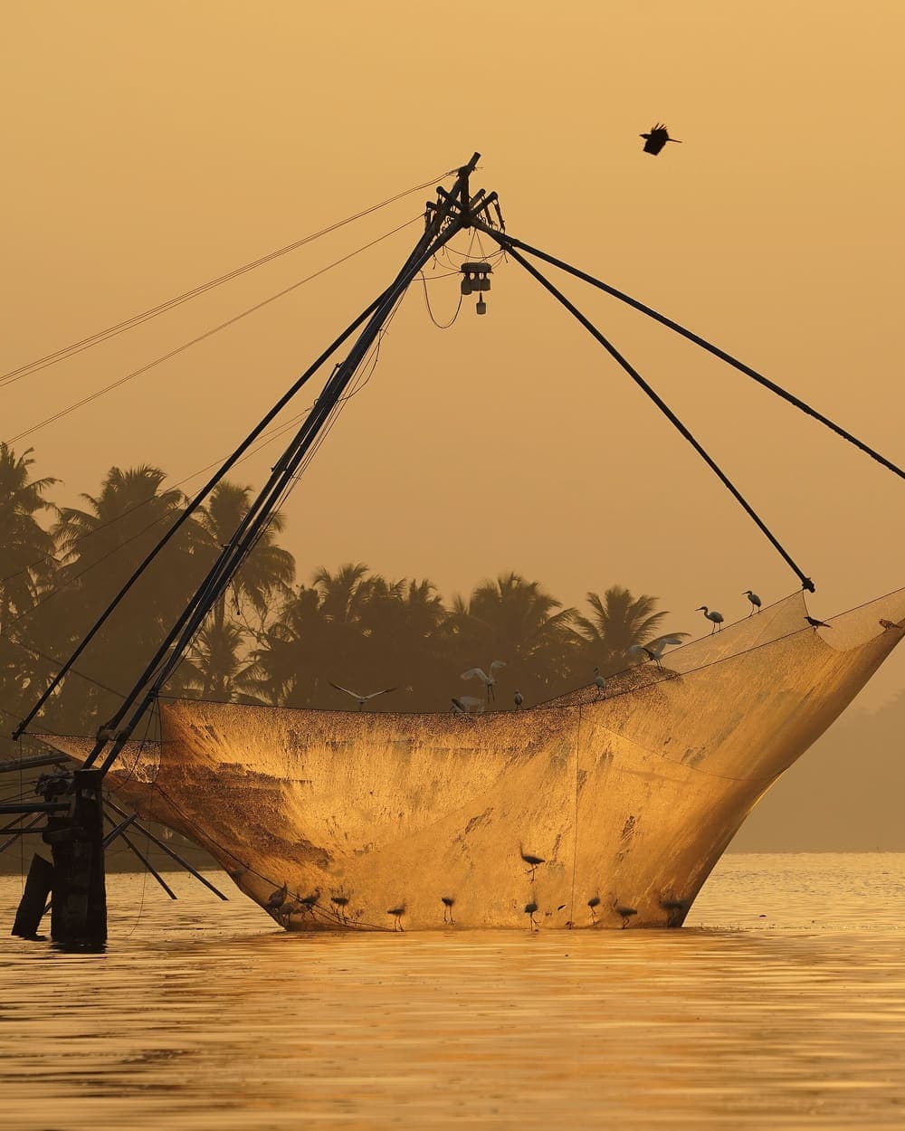 A Chinese fishing net at sunrise in Kerala