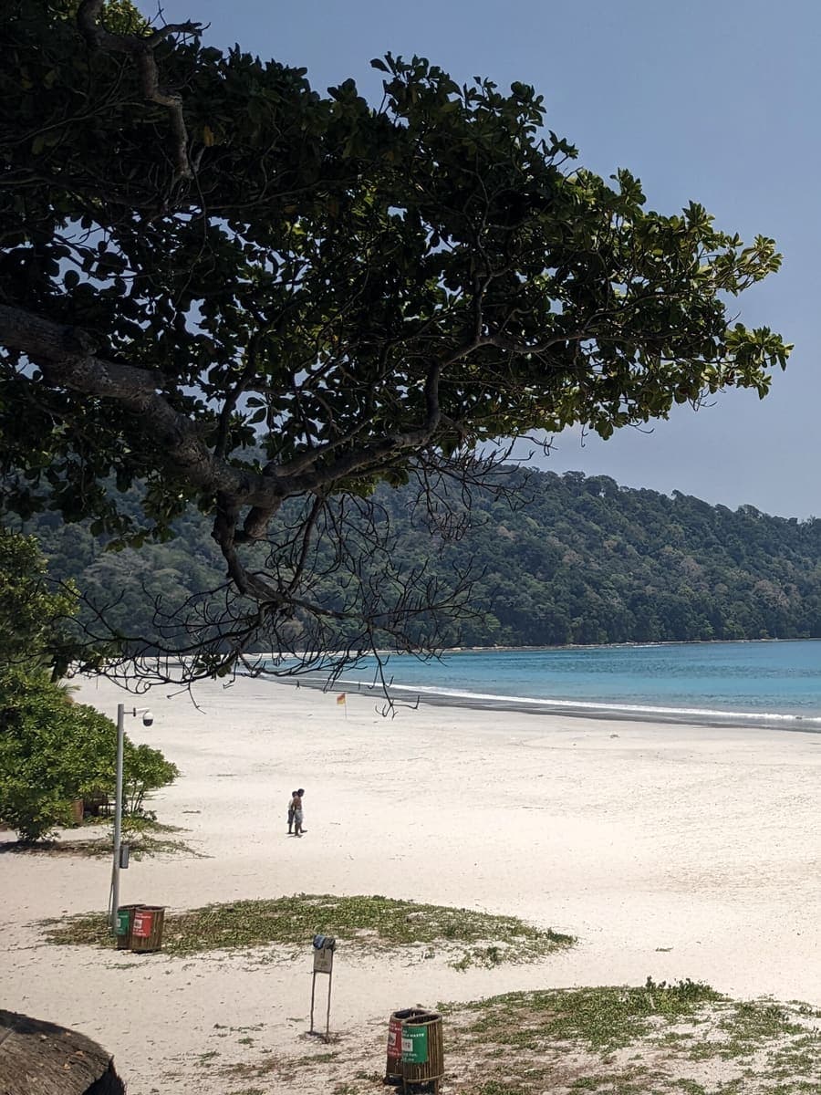 The white sand of Radhanagar Beach on Havelock Island, Andaman