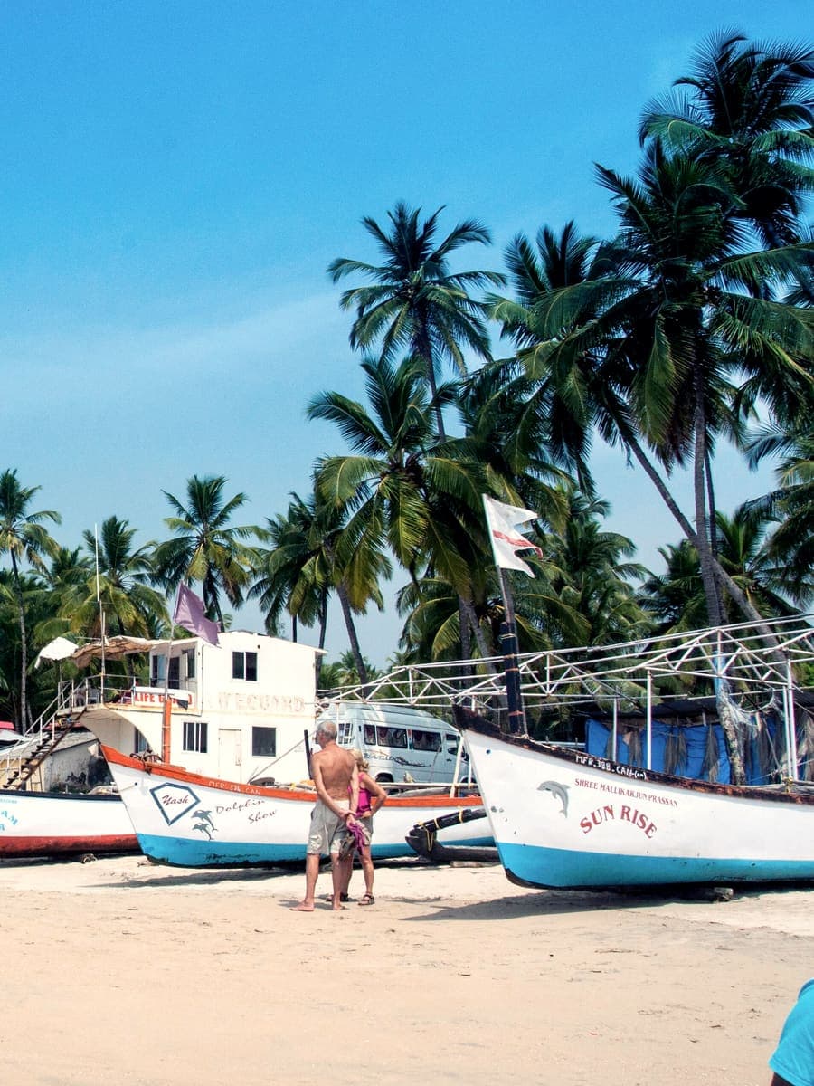 Fishing boats and palm trees on Palolem beach, Goa