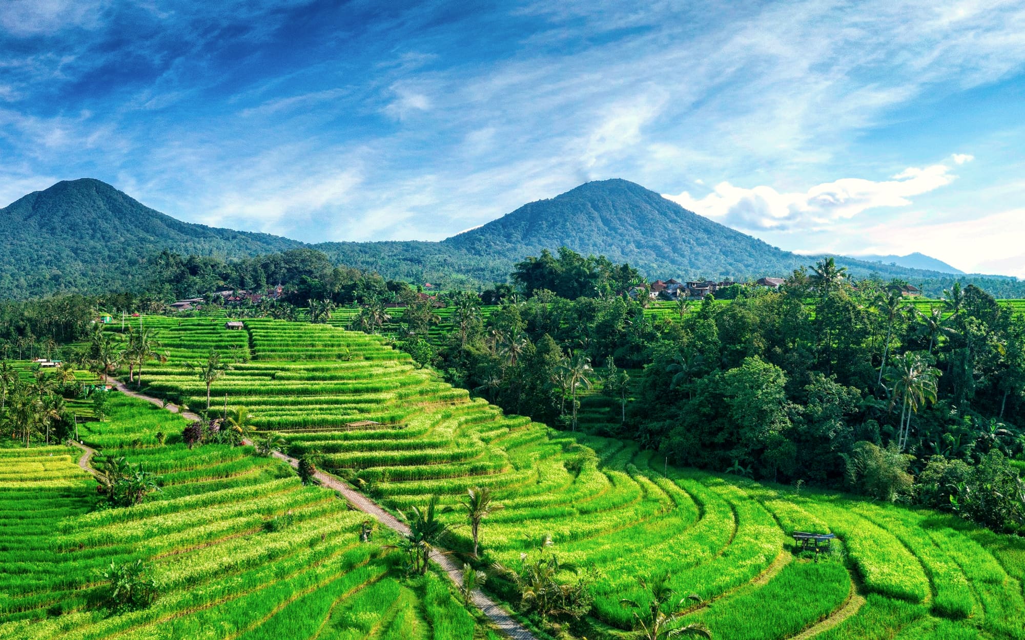 Jatiluwih rice terraces below the mountains of Bali