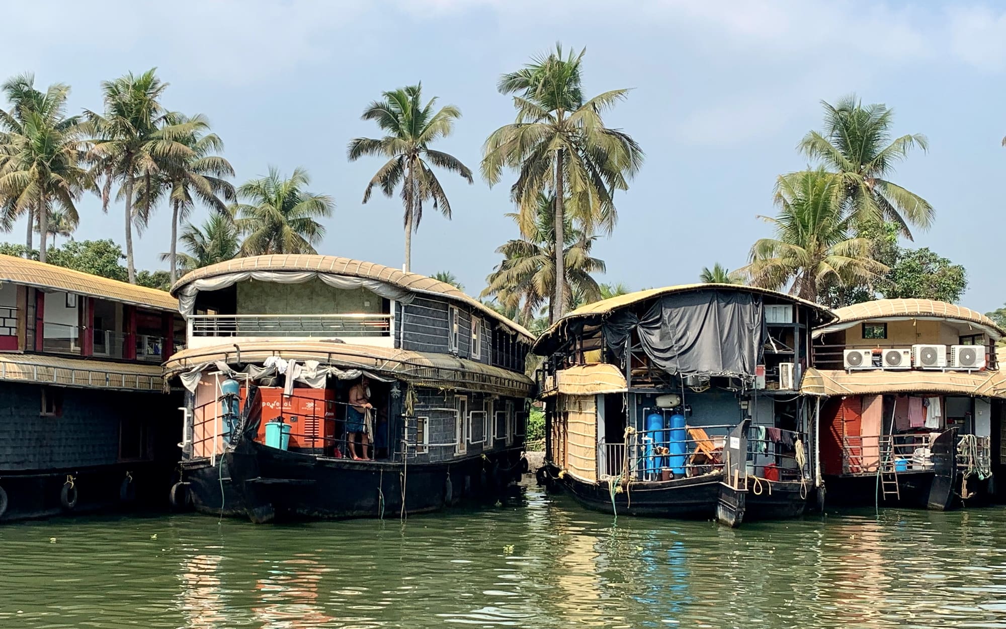 Houseboats moored under palm trees on the Kerala backwaters